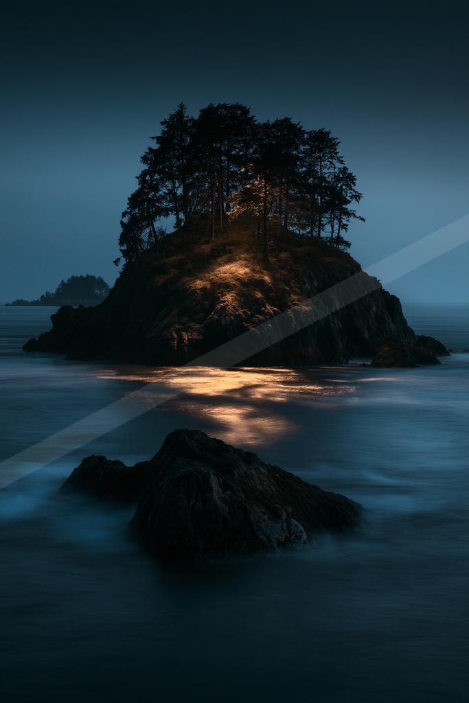 A blue hour long exposure water scene of ocean, trees.