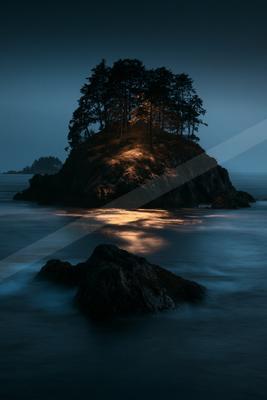 A blue hour long exposure water scene of ocean, trees.