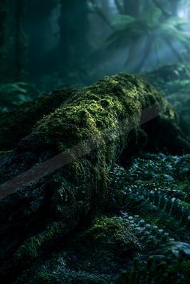A serene nature scene of forest, river.