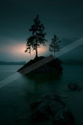 Two silhouetted evergreen trees stand on a rocky island in a calm lake, surrounded by thick fog and dramatic twilight light.