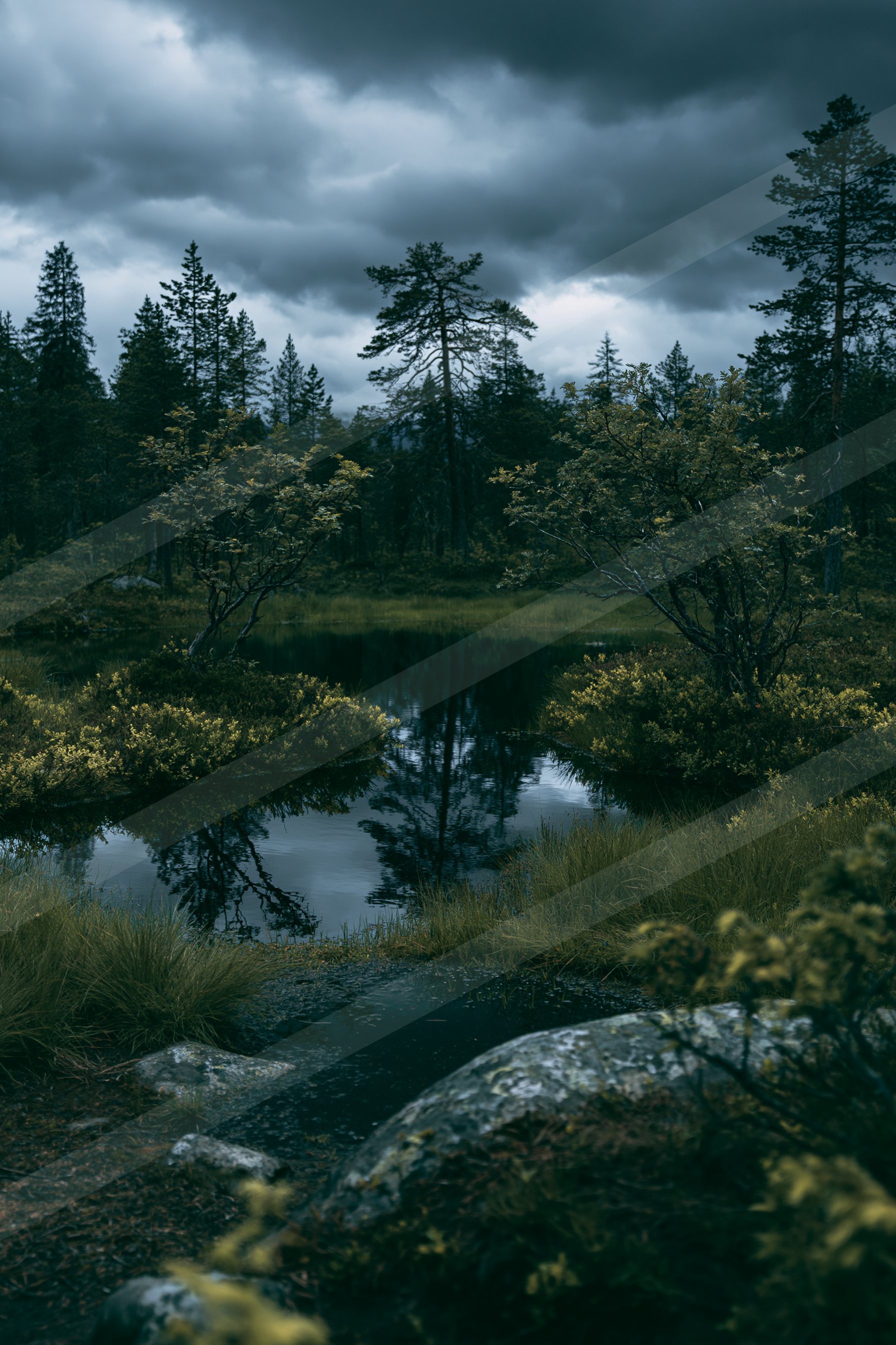A moody high contrast water scene of a wetland, reflection.