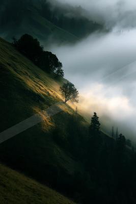 A dramatic nature scene of trees, valley, mountains.