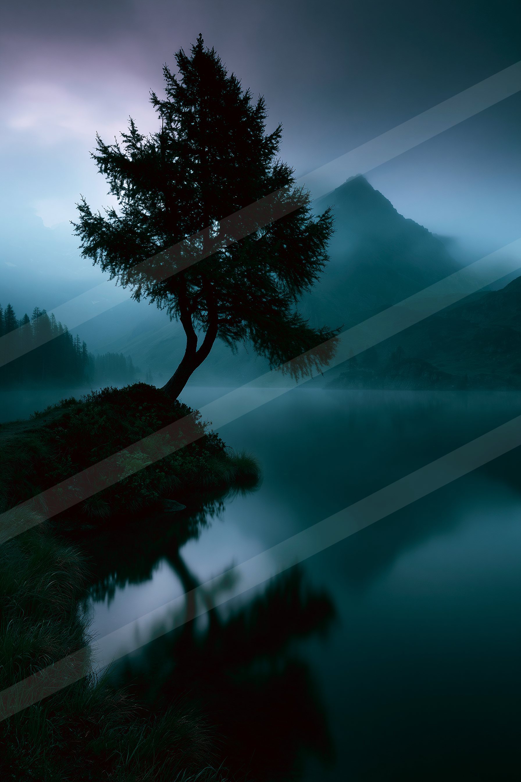 A mysterious high contrast nature scene of a pine tree, reflection.