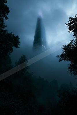 A night nature scene of forest, fog.