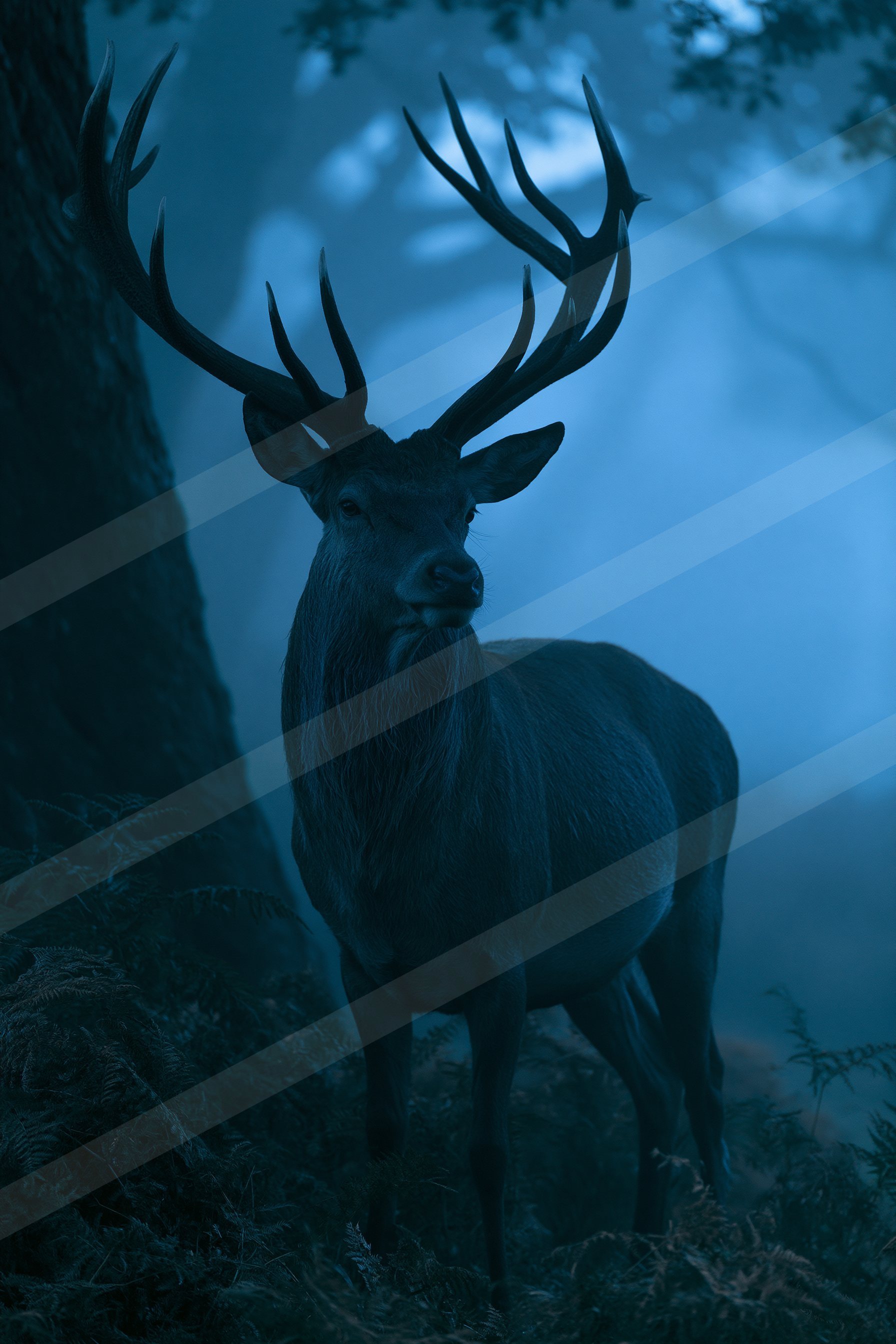 Deer.