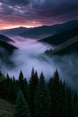 A moody landscape of mountains, valley, forest.