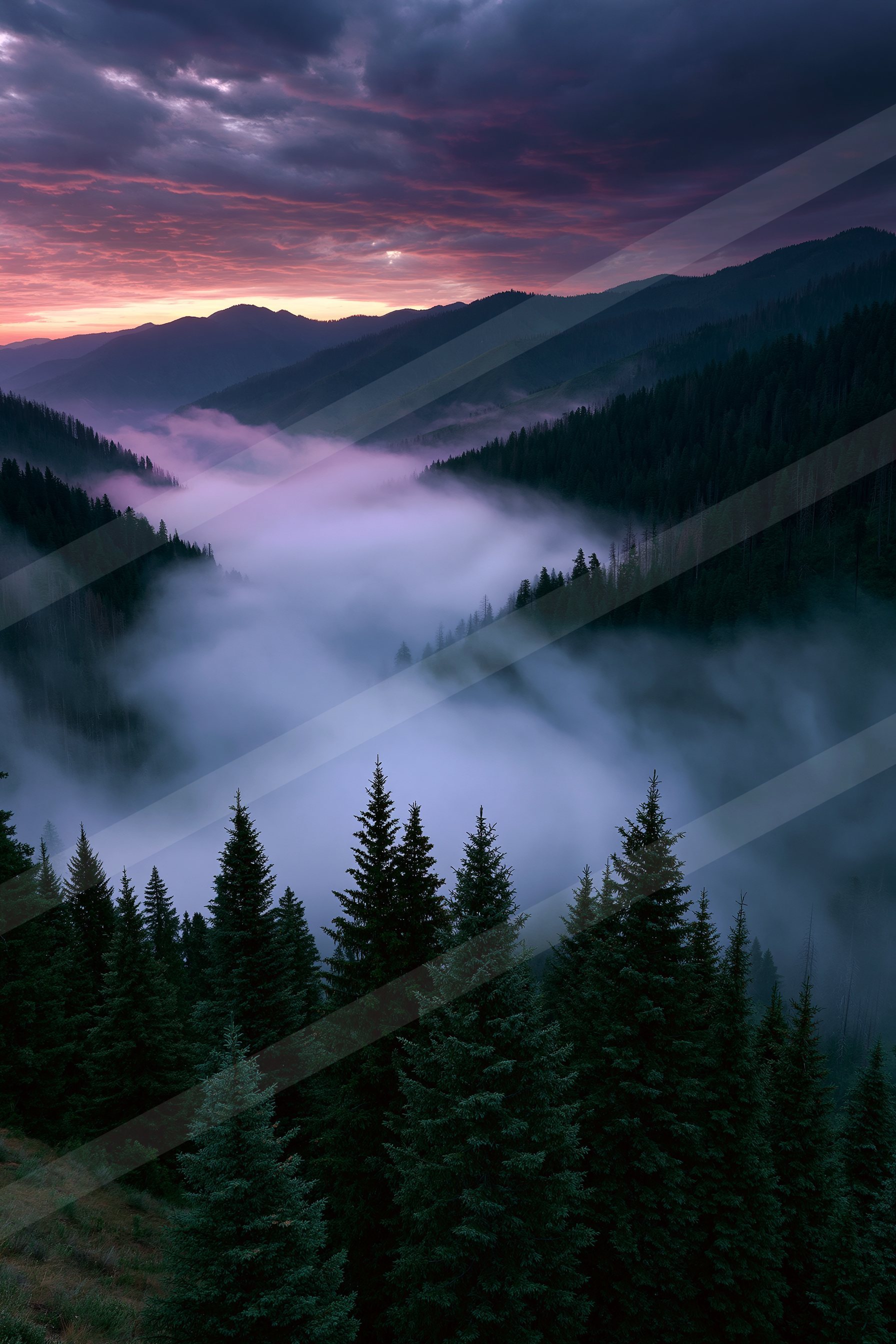 A serene panorama landscape of a rolling hills, fog.