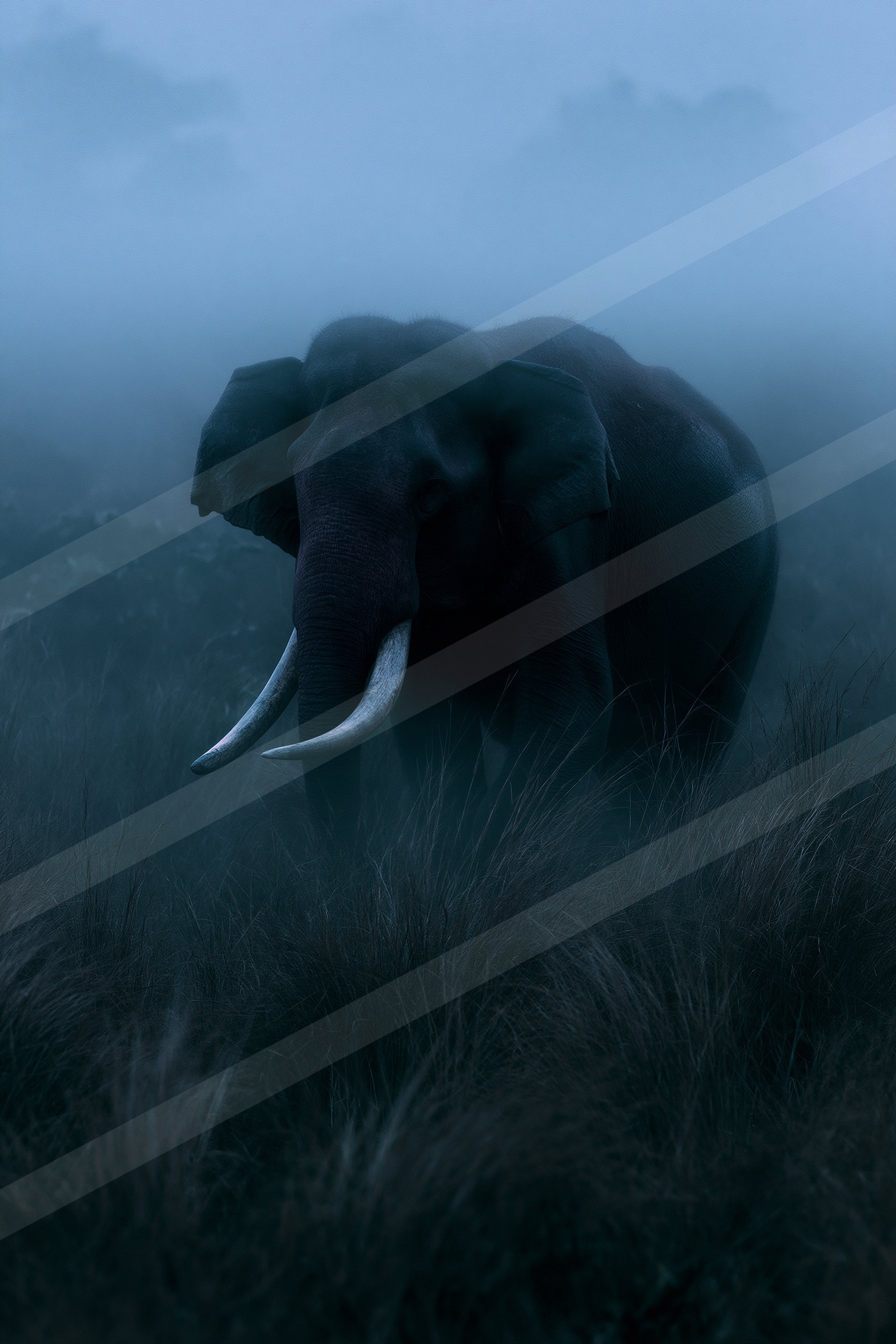 A large elephant with prominent tusks stands amidst tall grass under a foggy sky.