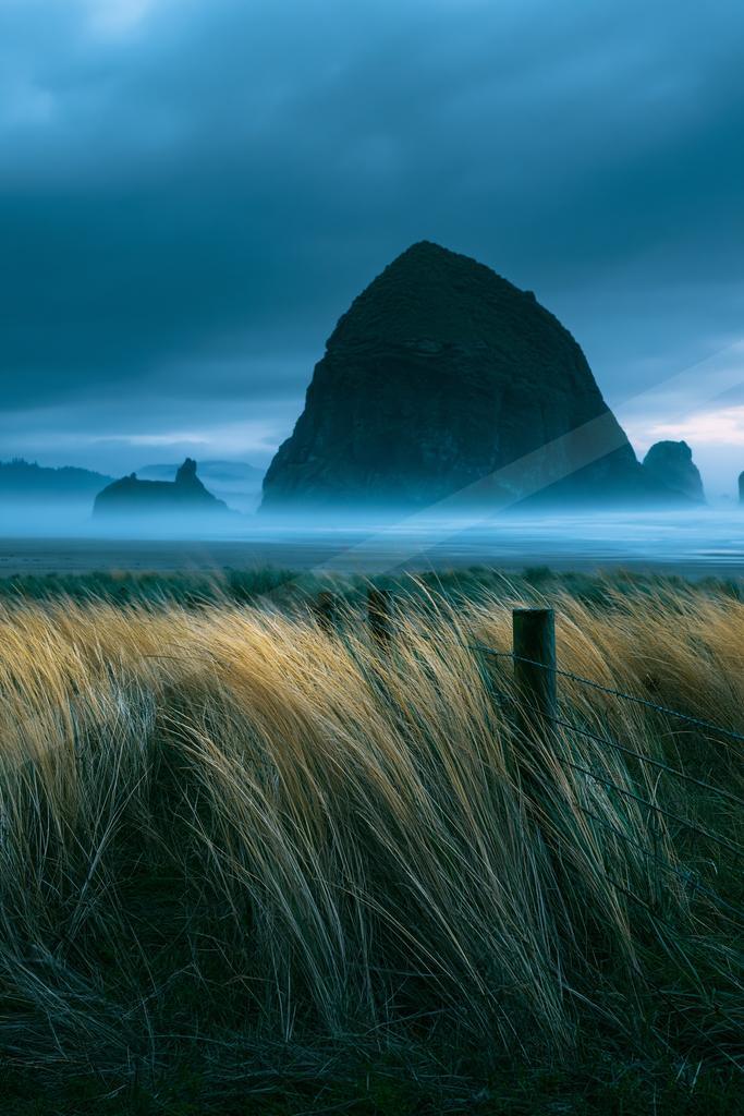 A blue hour long exposure landscape of field, storm, beach.