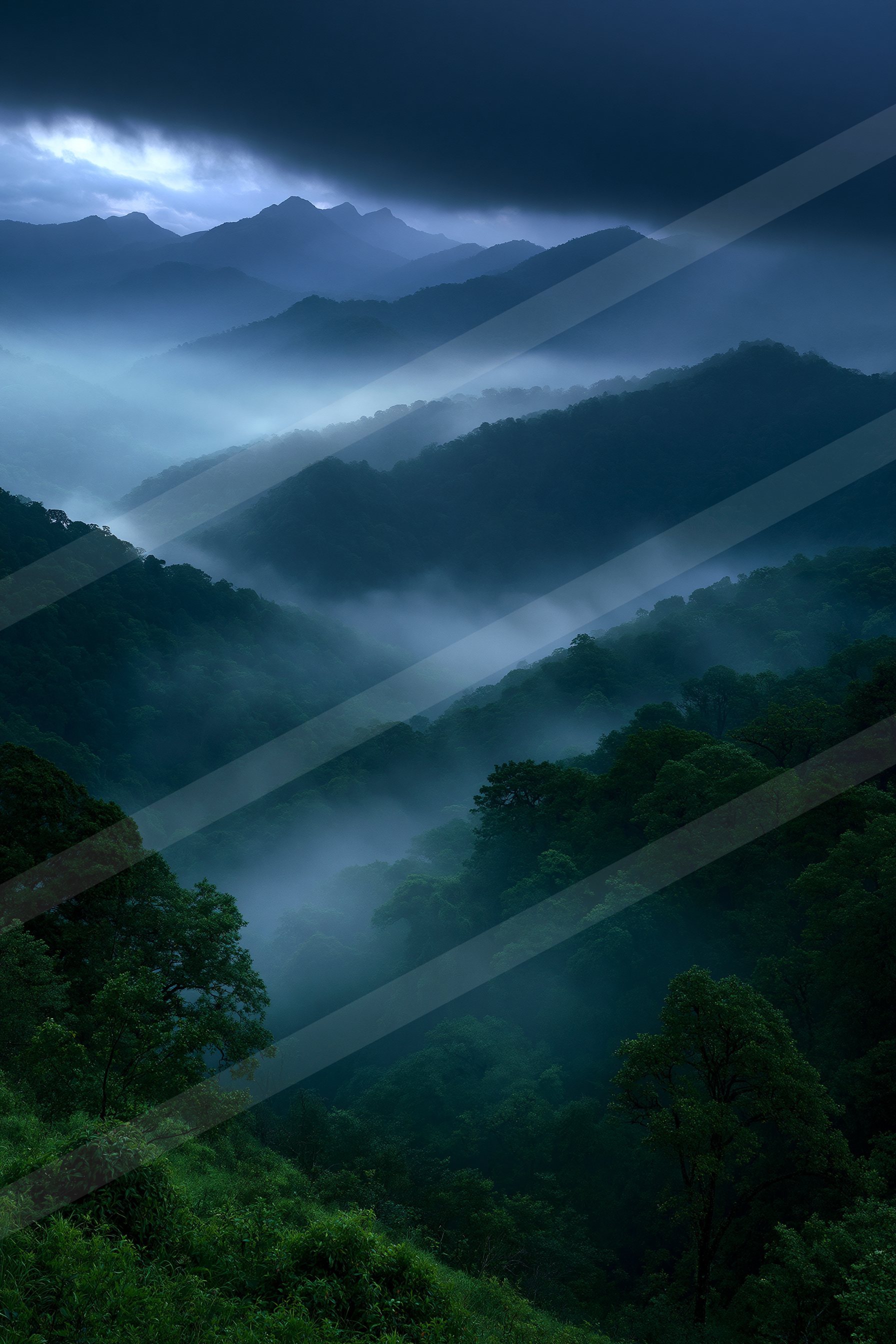 A serene forest landscape shrouded in mist under a dark, brooding sky.