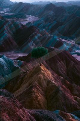 A moody nature scene of trees, valley, mountains.