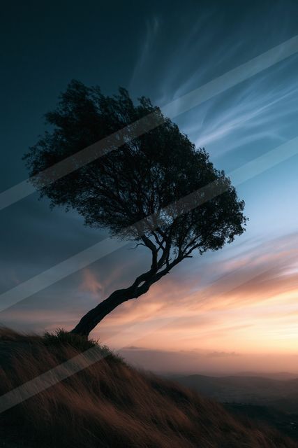A dramatic long exposure nature scene of an oak tree, silhouette.