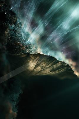 A moody still life of abstract texture, ocean.