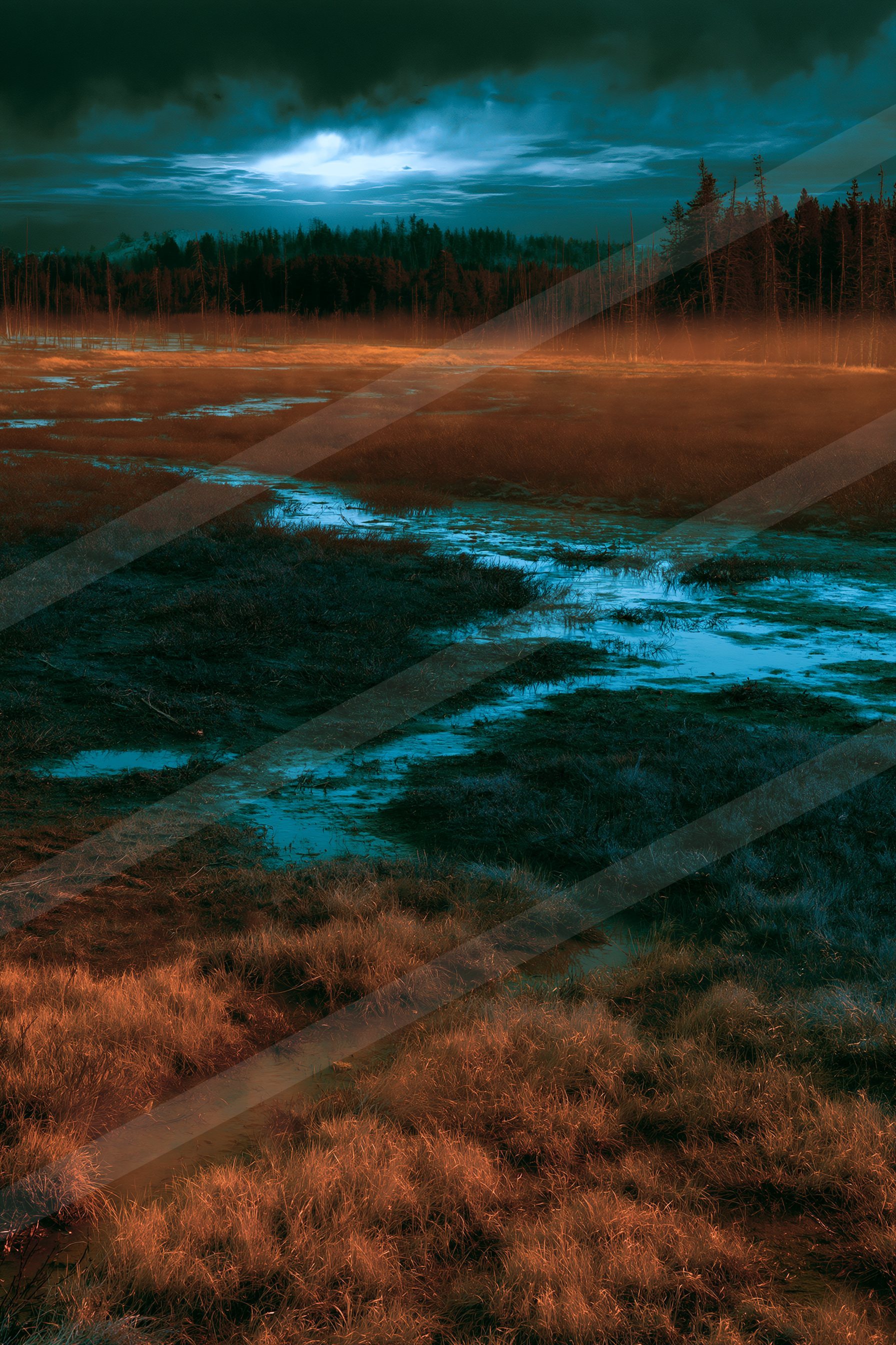 A blue hour high contrast water scene of a wetland, reflection.