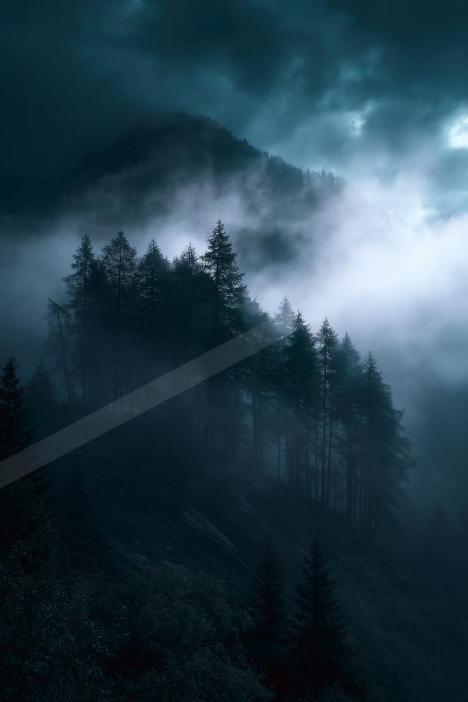 A mysterious high contrast nature scene of a forest, fog.