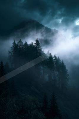 A night nature scene of forest, mountains, trees.