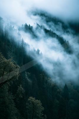 A gray-toned bright photograph of valley, alp, lakeside.