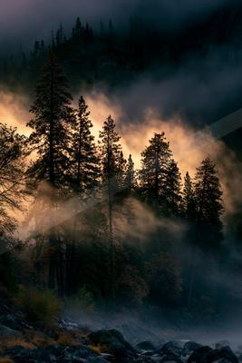 A dramatic long exposure nature scene of trees, forest, mountains.