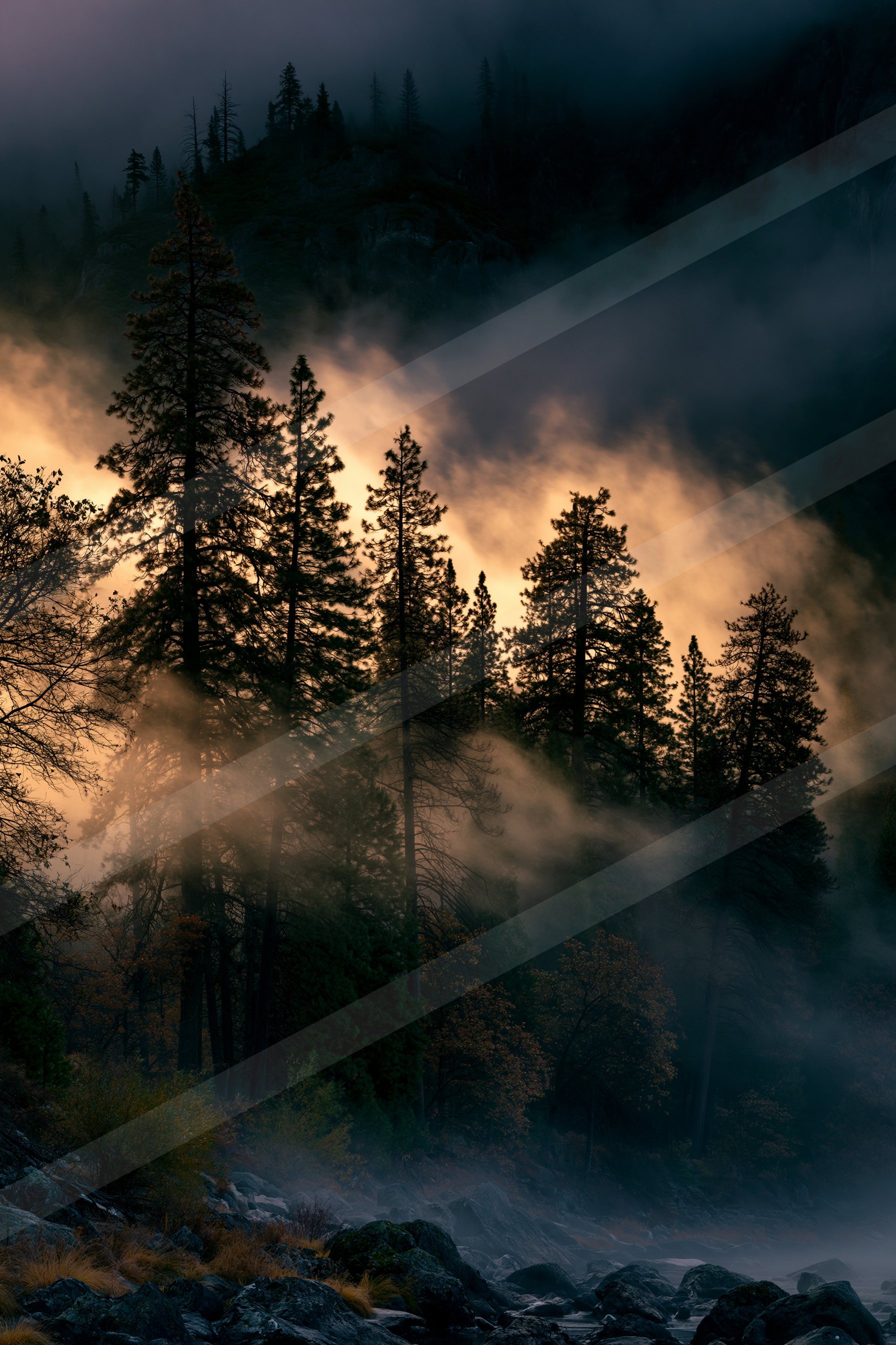 A dramatic double exposure nature scene of a forest, fog.