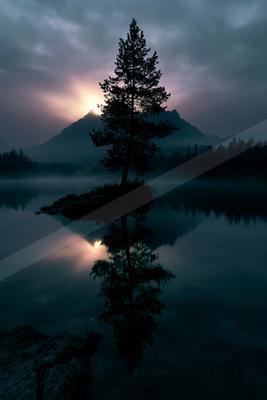 A solitary pine tree stands on a small island in a calm lake, its dark silhouette and perfect reflection mirrored in the still water under a dramatic, misty sun
