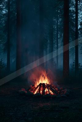 A night nature scene of forest.