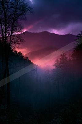 A misty mountain forest at night with dramatic purple and pink fog glowing between the ridges under a dark, cloudy sky, with silhouetted trees in the foreground