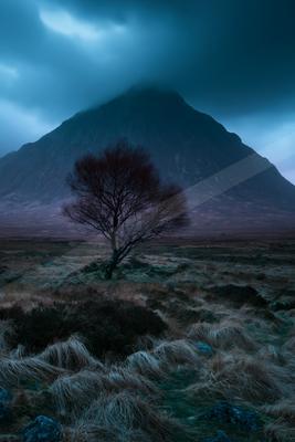 A dramatic nature scene of trees, mountains.