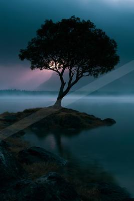 A solitary tree stands on a rocky islet in a calm lake, silhouetted against a glowing twilight sky with mist and distant mountains.