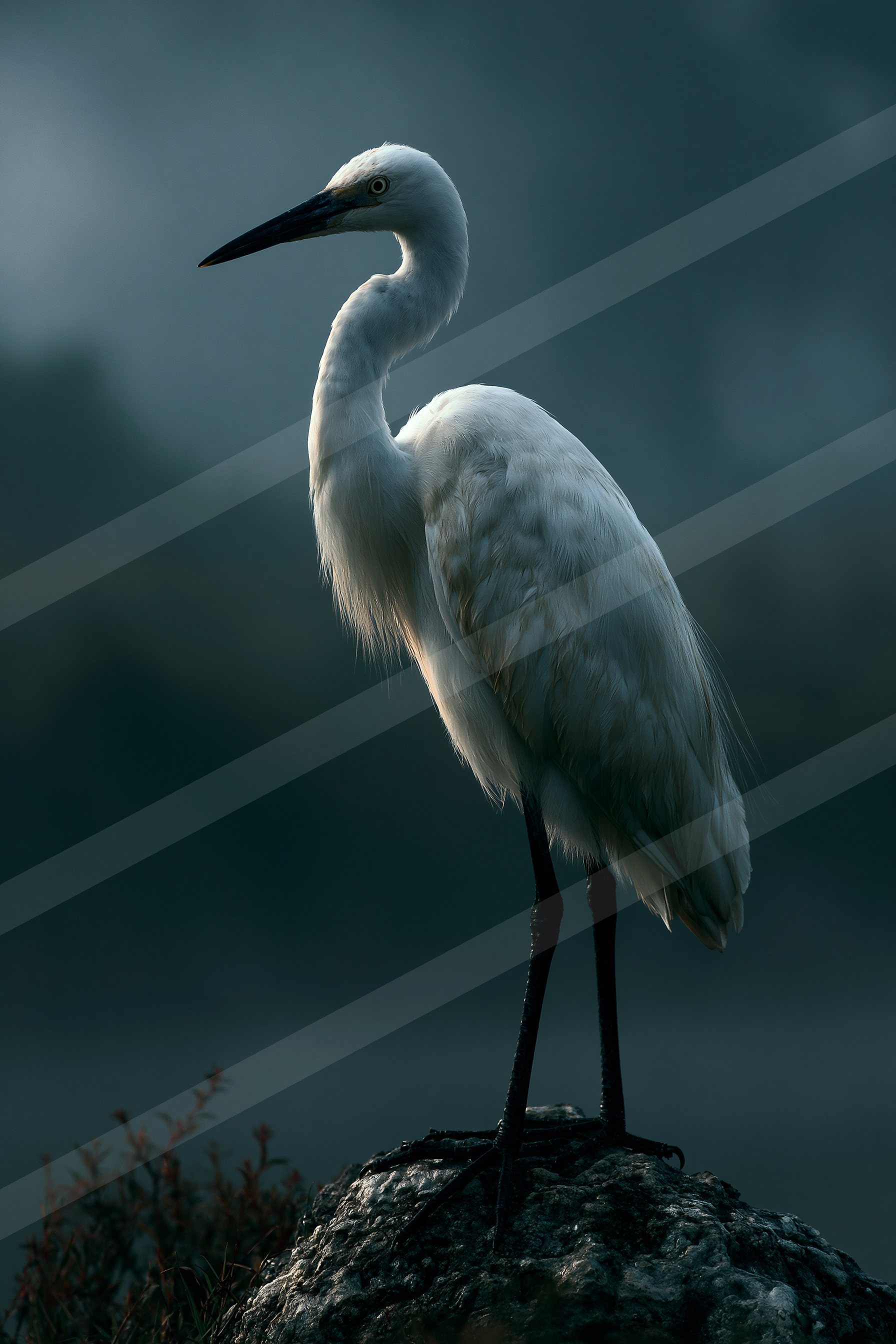 A pristine white egret stands tall and poised atop a rocky outcrop, silhouetted against a moody, misty background.
