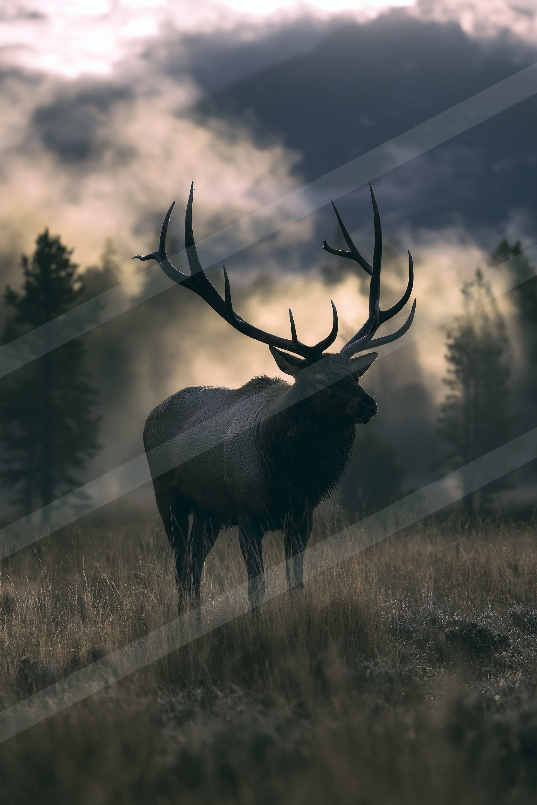 Silhouetted elk with prominent antlers stands in a misty field, surrounded by tall evergreen trees and distant mountains under a dramatic sky.