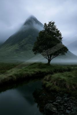 A solitary tree stands beside a calm stream in a grassy meadow, with a large fog-covered mountain rising in the background under an overcast sky.