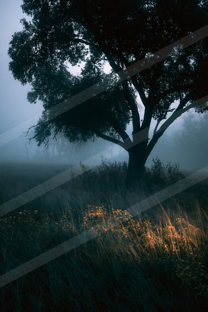 A lone tree stands tall amidst a misty forest landscape, illuminated by warm light highlighting vibrant wildflowers at its base.