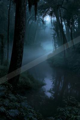 A mysterious water scene of a stream, fog.