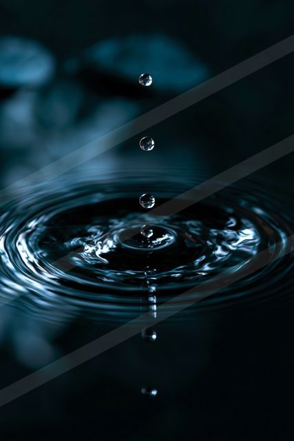 A serene macro water scene of a pond, ripples.