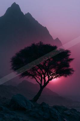 A lone tree stands silhouetted against a vibrant pink and purple sunset, with a large mountain range in the background and rocky terrain in the foreground.
