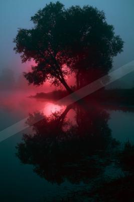 A large tree silhouetted against a vibrant red glowing mist, perfectly reflected in the calm water below, creating a dramatic and atmospheric scene.