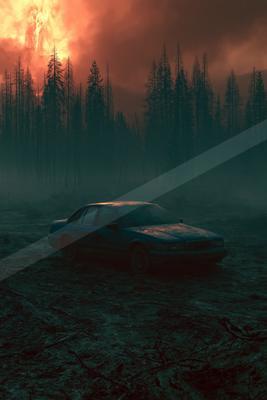 A night nature scene of forest, sunset, trees.