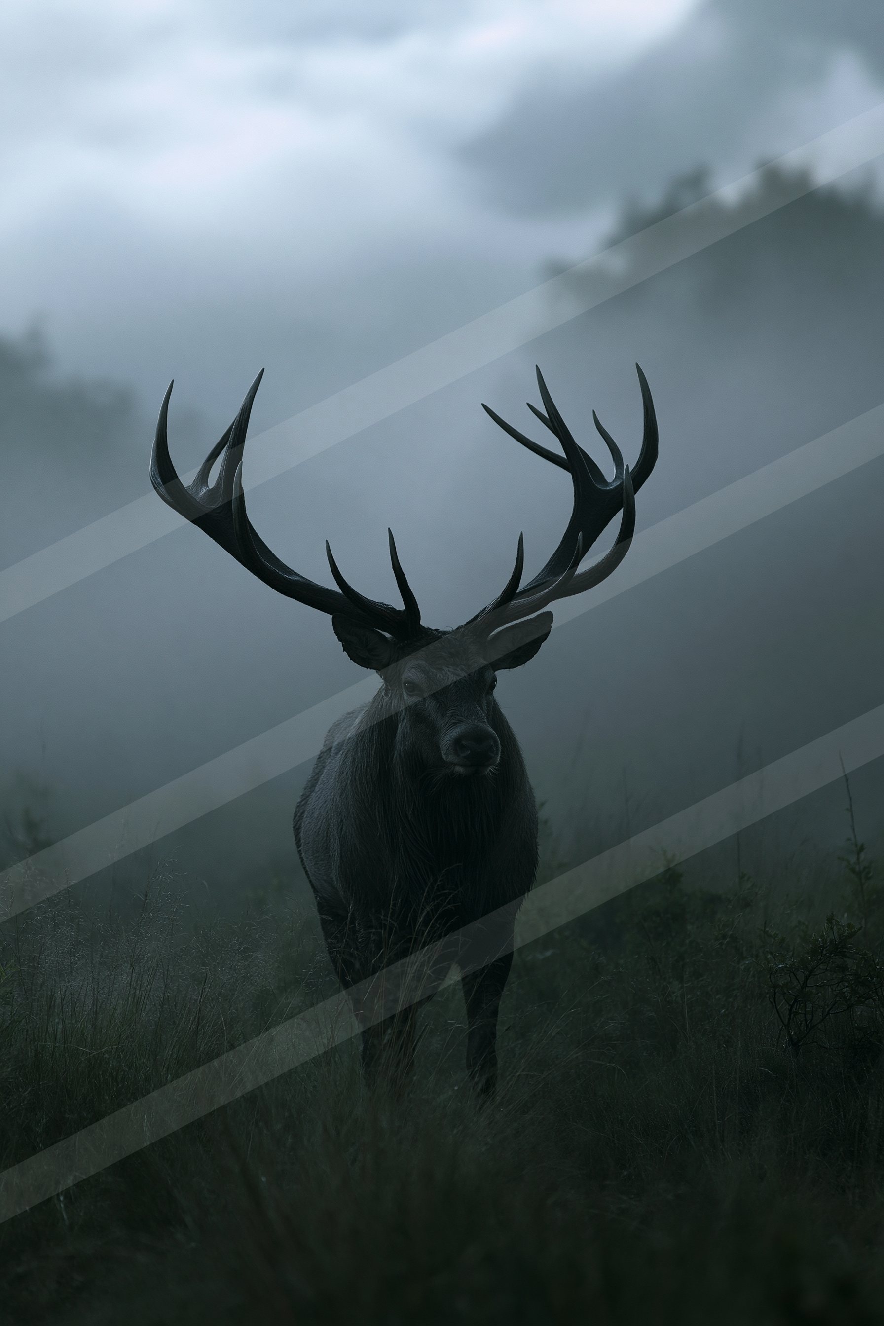 Gazelle.