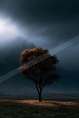 A solitary tree with golden-brown leaves stands in a grassy field under a dark, stormy sky with mist-covered mountains in the background.