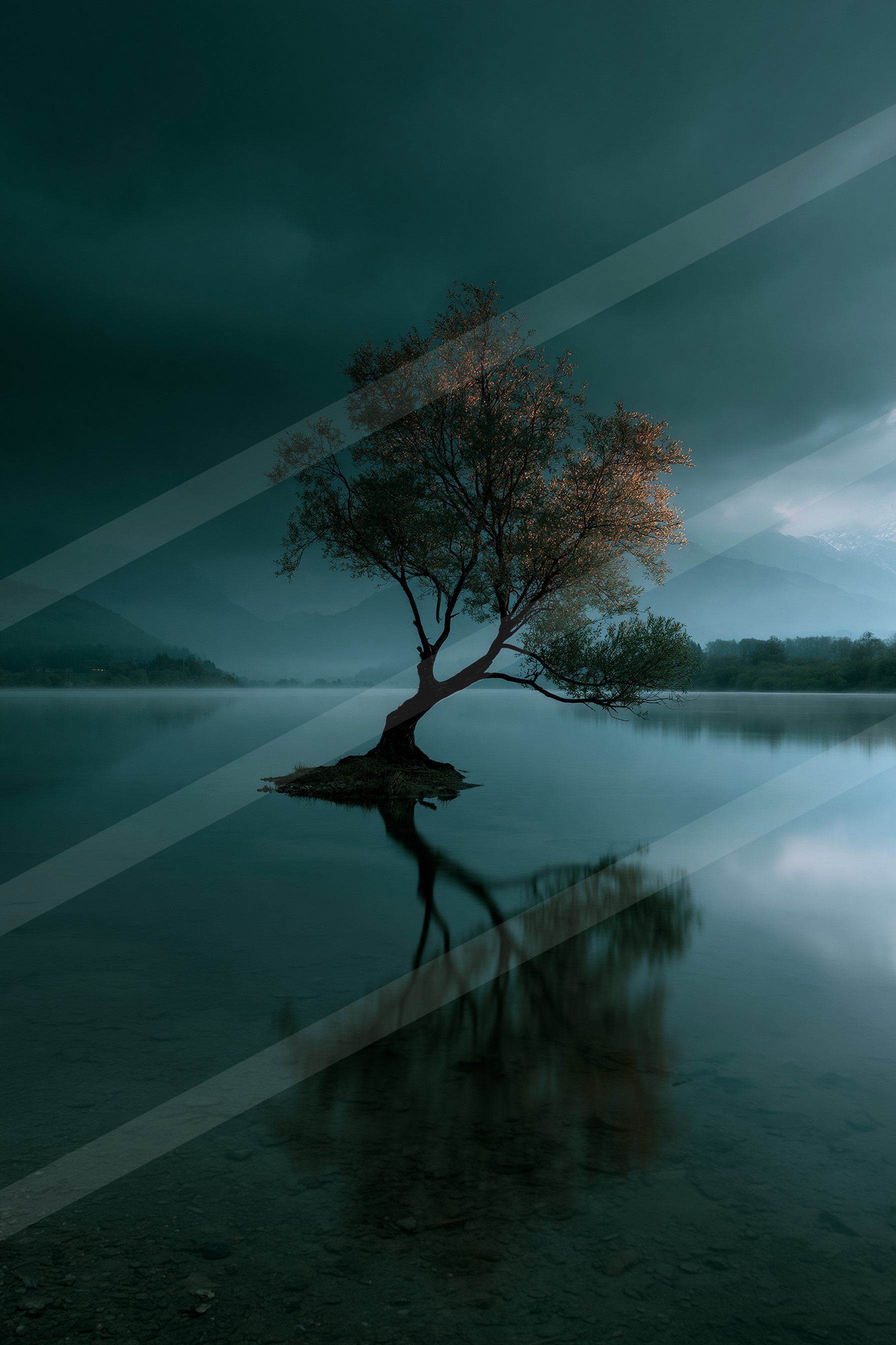 A dramatic high contrast nature scene of an oak tree, reflection.