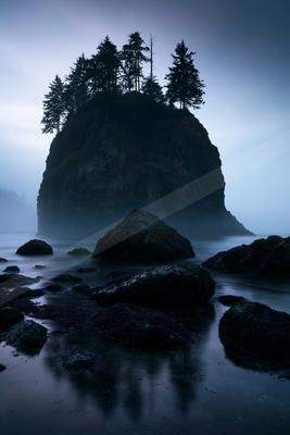 A large rocky sea stack covered in tall evergreen trees rises from foggy coastal waters, surrounded by smaller seaweed-covered rocks in the foreground under a d