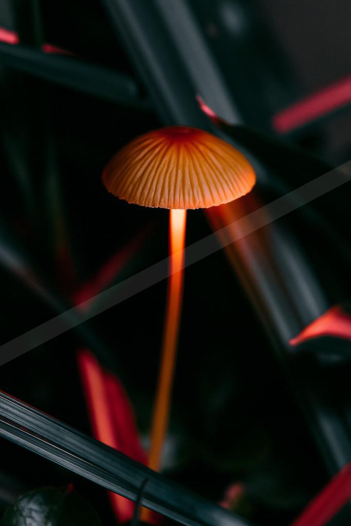 A moody still life of abstract texture, wildlife.