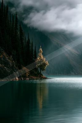 A serene water scene of lake, trees, fog.