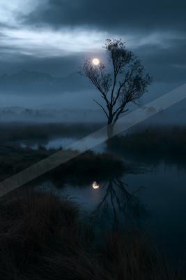 A night nature scene of trees, lake, fog.