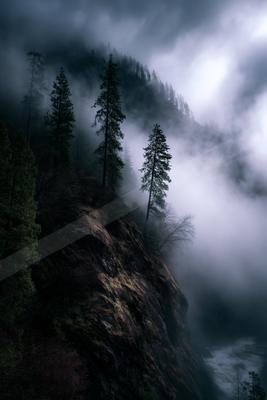 A moody landscape of mountains, forest, trees.