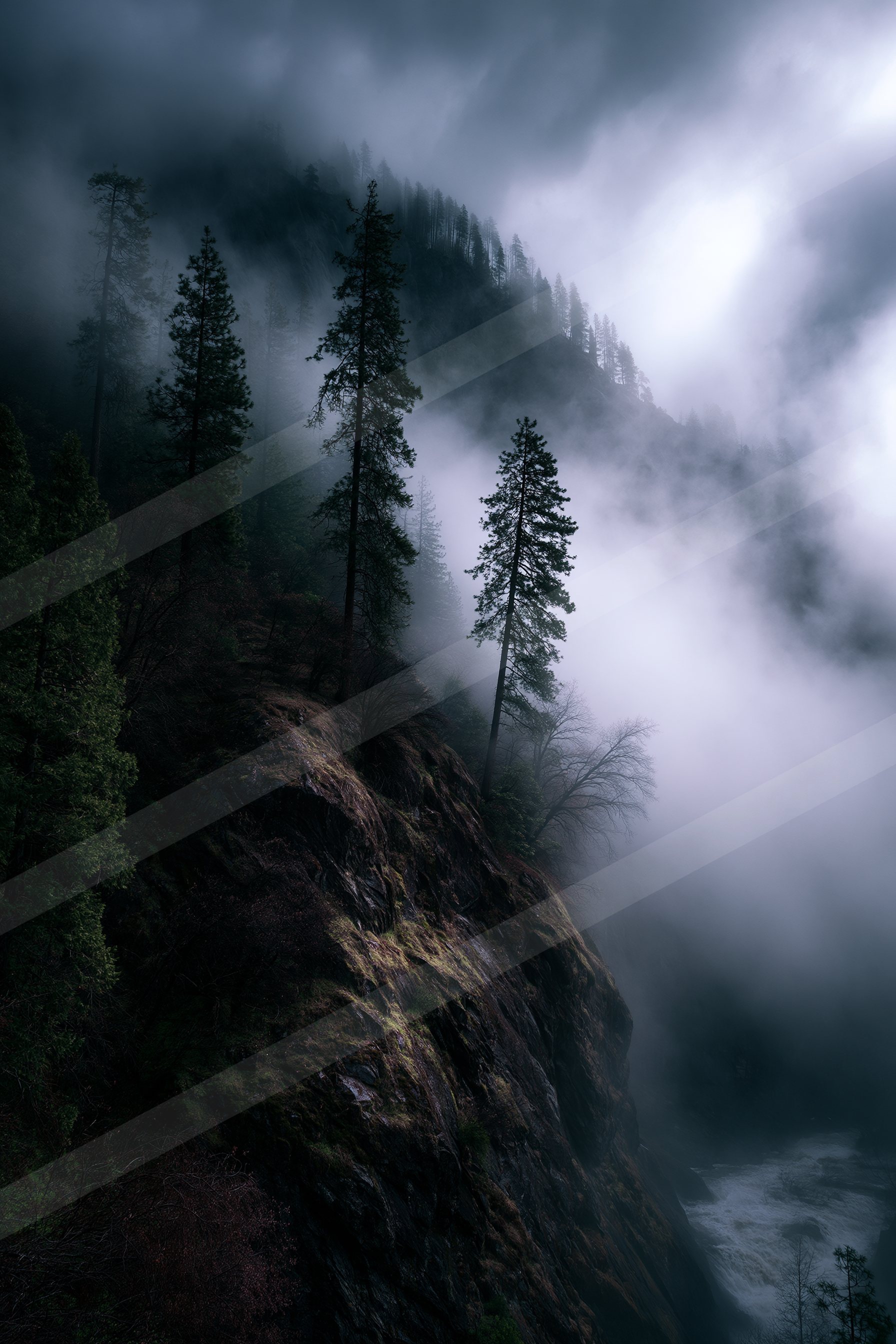 A moody high contrast nature scene of a forest, fog.