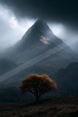 A dramatic nature scene of trees, mountains, fog.