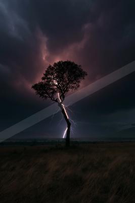 A black-and-white dramatic sky scene of storm, trees.