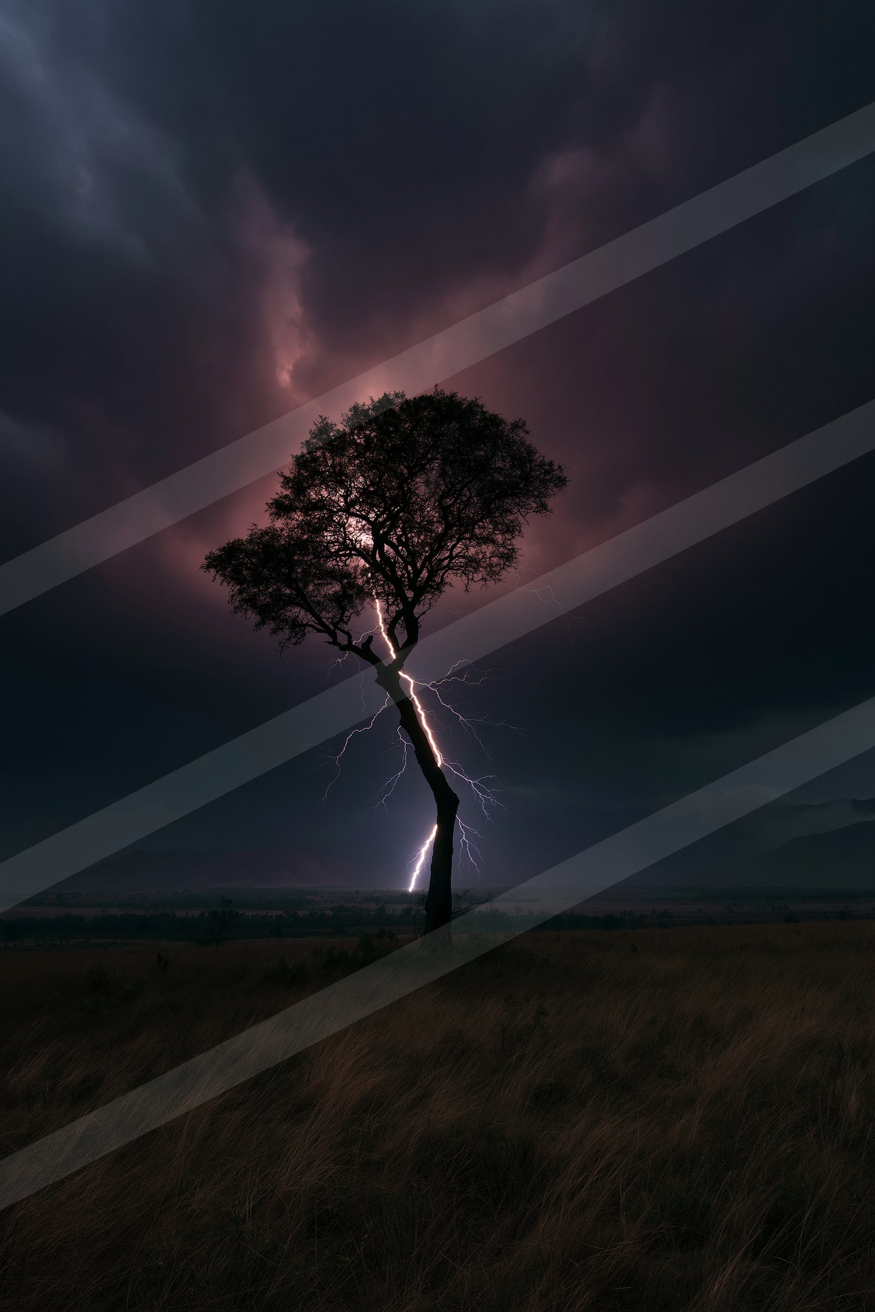 A black-and-white dramatic sky scene of a lightning.