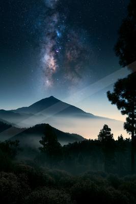 A starry night sky filled with the glowing Milky Way above a silhouetted mountain peak emerging from a sea of fog, with dark pine trees in the foreground.